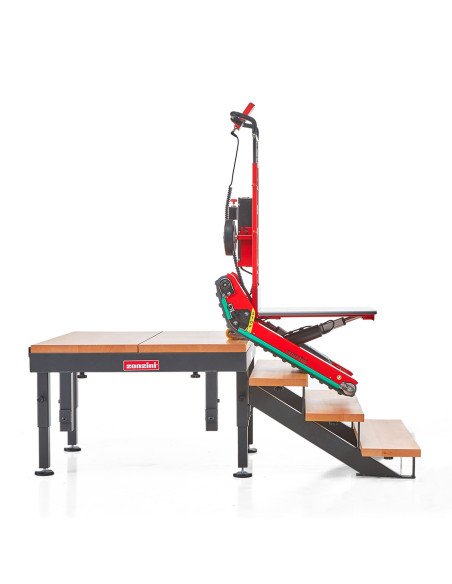 Treppensteiger Domino Plasmoid 400 kg