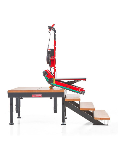 Treppensteiger Domino Plasmoid 400 kg