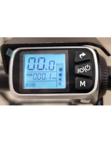 Elektrische Transportkarre Donkey Move - Traglast 160 kg